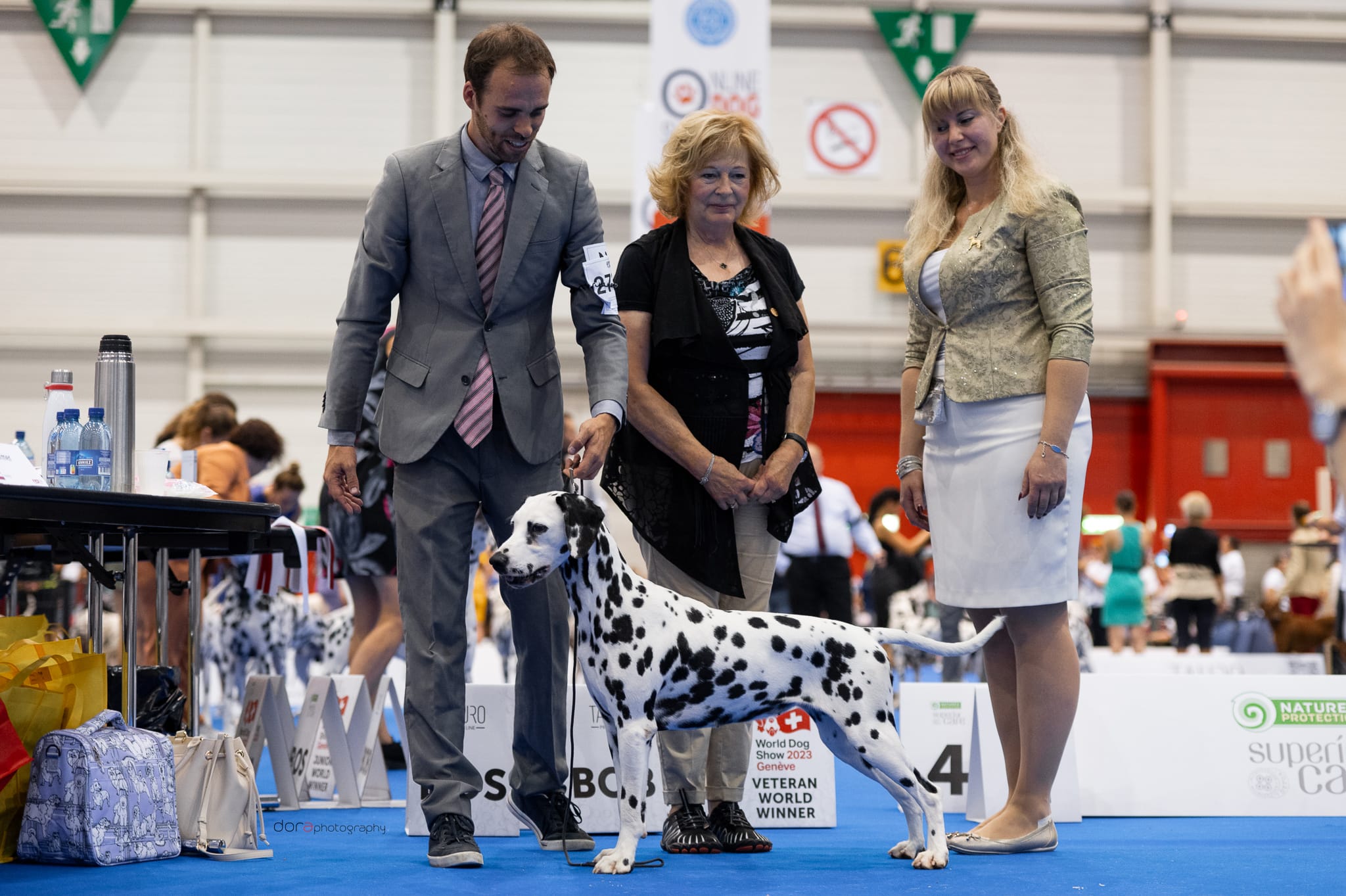 Dalmata Ria